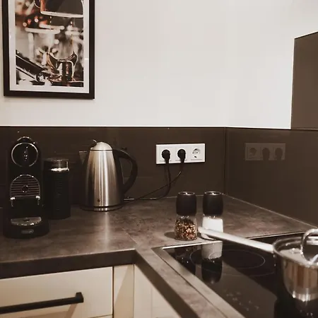 Stilvolles City-loft Mit Privatem Whirlpool Treviri