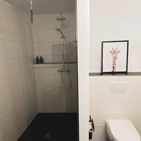 Stilvolles City-loft Mit Privatem Whirlpool Treviri