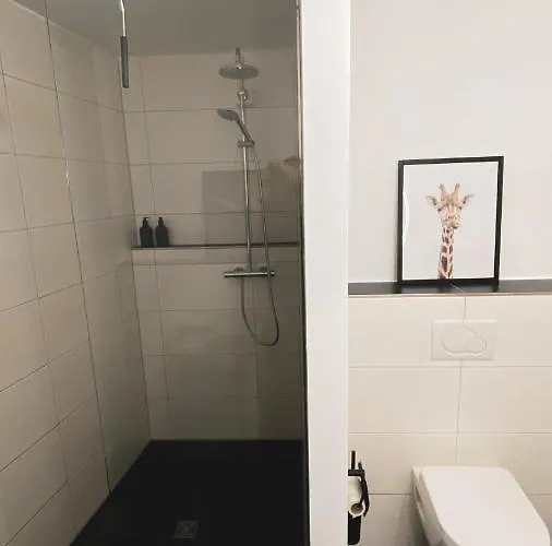 Stilvolles City-loft Mit Privatem Whirlpool Trier